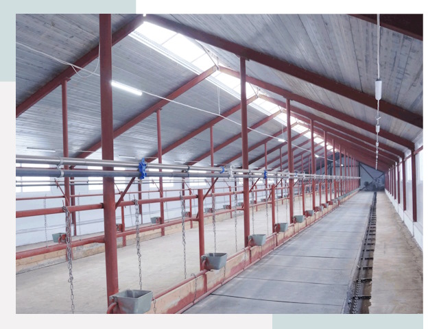 Строительство коровников в Чите от 621 руб.